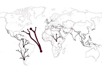 Mapping Three Decades of Ecosystem Services Research: Who Publishes, Who Collaborates, Who Gets Left Behind