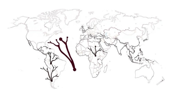Mapping Three Decades of Ecosystem Services Research: Who Publishes, Who Collaborates, Who Gets Left Behind
