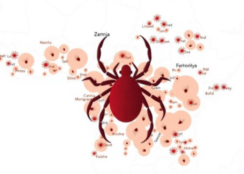 Zambia’s Tick Map Reveals a Shifting Landscape of Disease Vectors