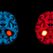 Mindfulness Is Not One Skill: Brain Scans Reveal Opposing Signatures of Presence and Acceptance