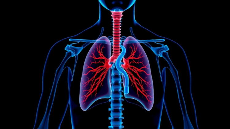 A Simple Nerve Test Could Predict When ALS Patients Will Need Breathing Support