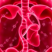 Gut Microbe Molecules Shield Aging Muscles From Wasting, With Surprising Sex Differences