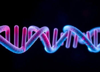 Telomere Gene NHP2 Linked to Nerve-Driven Muscle Wasting in Rare Family Study