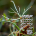 Plant Fibers Meet Tiny Metal Cages to Hunt Down Farm Chemical Pollution