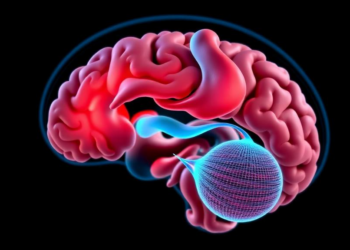 When an Ear Infection Reaches the Brain: A Case of Sinus Thrombosis, Abscess and Hydrocephalus
