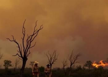 Colonial Land-Use Change Set the Stage for Australia’s Wildfire Crisis