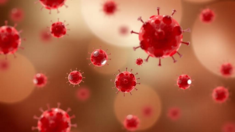 Tiny Blood-Borne Vesicles Carry Cytokine Clues to ER-Positive Breast Cancer and Its Treatment Response