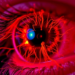 Nerve Fibers Invade the Aging Lens, Revealing How Cataracts Take Hold