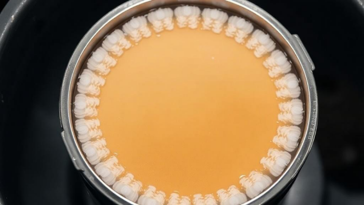 Cyclical Cake Filtration Slashes Filter Area in CHO Cell Harvesting