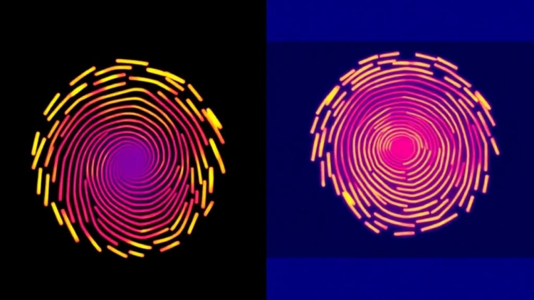 Thermal Fingerprints: How DSC and TGA Are Exposing Food Fraud