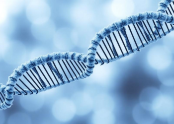 Nanozymes, Engineered Gut Bacteria and mRNA Offer New Hope Against Hyperuricemia