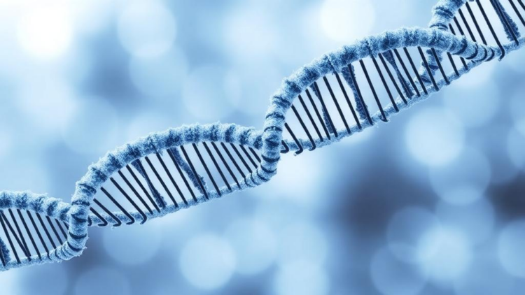Nanozymes, Engineered Gut Bacteria and mRNA Offer New Hope Against Hyperuricemia