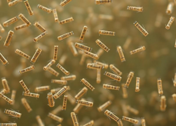 Metagenomic Sequencing Reveals a Hidden World of Bacteriophages in the Ganga River