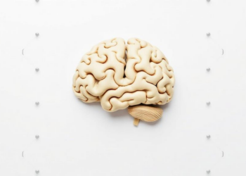 Why a Simple Puzzle After Learning Can Erase New Facts From Memory