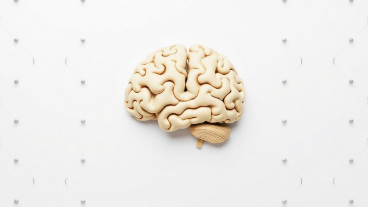 Why a Simple Puzzle After Learning Can Erase New Facts From Memory