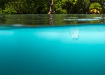 Two Decades of Data Reveal a Hidden Split in South Florida’s Groundwater