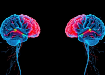 Brain Wiring Reveals Opposite Signatures in Bipolar Depression and Major Depression