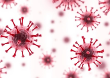 Lab-Grown B Cells Reveal Why Immune Defenses Falter in Common Variable Immunodeficiency
