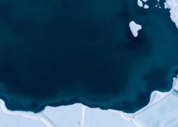 Shirase Glacier’s 2017 Calving Linked to Warm Ocean and Thin Sea Ice