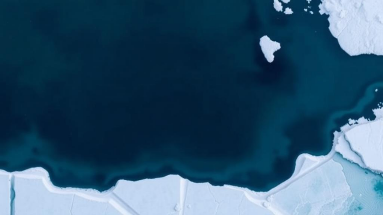 Shirase Glacier’s 2017 Calving Linked to Warm Ocean and Thin Sea Ice