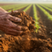 Hidden Potassium Reserves in Clay Soils Quietly Feed Crops and Upend Fertilizer Advice