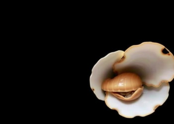 From Seafood Waste to Supercapacitors: Clam Shells Yield a Dual-Use Material That Cleans Water and Stores Energy