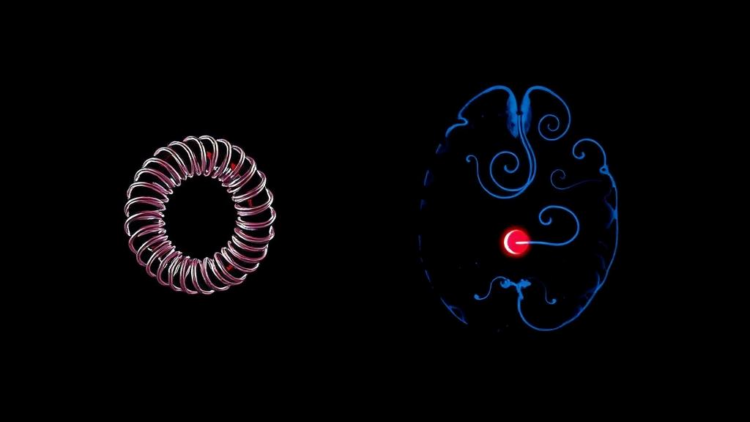 Coils or Clips? Landmark Analysis Reveals Which Aneurysm Repair Wins Where