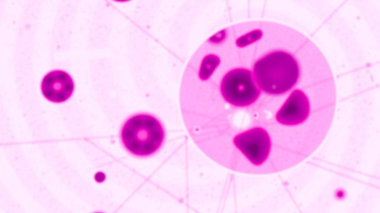AI Can Spot Leukemia Cells on Blood Smears, But One Blast Type Keeps Slipping Through