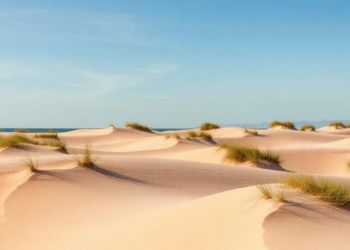 Weather Stations and Climate Indices Can Now Predict When Coastal Dunes Will Move