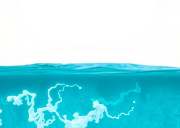 Adding Alkalinity to European Seas Could Turn Summer Carbon Emissions Into Year-Round Ocean Uptake