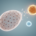 AMH Outshines Testosterone as the Signature Hormone of Polycystic Ovary Patterns in Infertility Patients