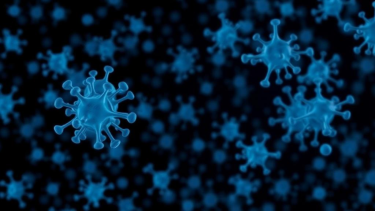 Virtual screen of 12 million compounds yields new bacterial kinase inhibitors