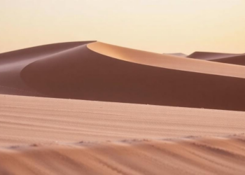 Salt-Loving Bacteria From Moroccan Dunes Could Supercharge Coastal Farming