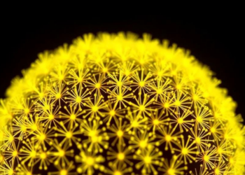 Nitrogen and Sulfur Doping Supercharges Carbon Quantum Dots for Low-Power Laser Optics