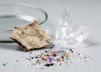 Biodegradable Plastics Can Shed More Microplastics Than Conventional Ones, Study Finds