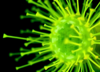 Rice Pathogen’s Dual-Purpose Enzyme Keeps Its Membrane Intact and Its Virulence Sharp