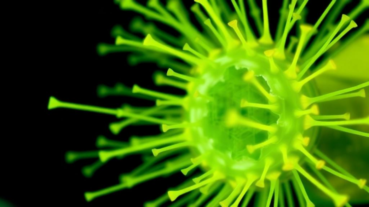 Rice Pathogen’s Dual-Purpose Enzyme Keeps Its Membrane Intact and Its Virulence Sharp