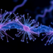 E3 Ligase TRIM37 Steers Cilia Growth by Tagging p62 and Tuning Autophagy