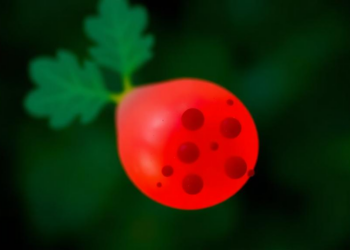 Pregnancy Leaves Lasting Epigenetic Footprints in Women’s Blood, Study Finds