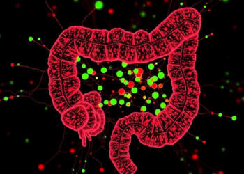 Massive single-cell atlas reveals how diverse gut infections reprogram the intestinal lining