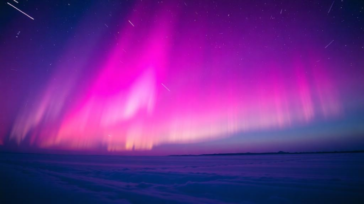 High-speed camera reveals the hidden rhythms of flickering aurora