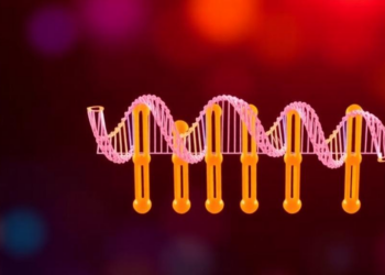 PCR-Only Protein Engineering Platform Skips Bacteria and Builds Better Biosensors in a Day