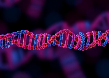 Fat-Fueled RNA Signals Predict Survival and Drug Response in Lung Cancer