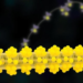 How the cell builds its membrane proteins: new view of the EMC-bound translocon