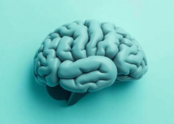 Feeling Right Is Rewarding: How Inner Confidence Steals Your Brain’s Visual Resources