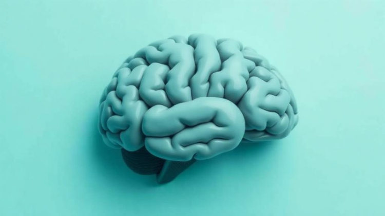 Feeling Right Is Rewarding: How Inner Confidence Steals Your Brain’s Visual Resources