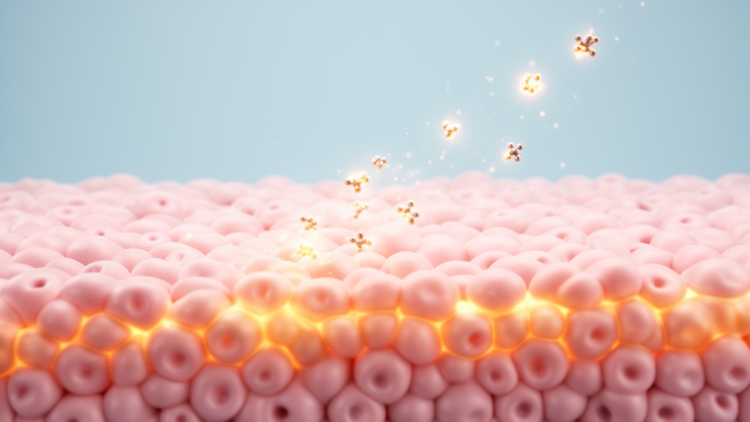 Epithelial Cells’ Sensitivity to Interferon Gamma May Shape Genital Herpes Outcomes