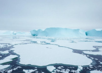Machine Learning Reveals Stubborn Weather Patterns Behind Antarctic Sea Ice Collapse