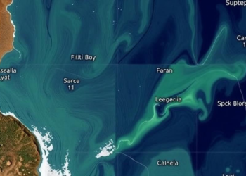 Deep Learning Teaches Satellites to Watch Soil Moisture Change Within a Single Day