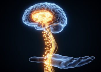 Slowed Movements in Parkinson’s Stem From Underscaled Motor Commands, Not Broken Neural Wiring